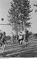 Jungen beim Volleyball spielen