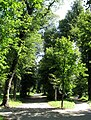 Landschaftsgarten beim Schloss