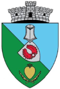 Wappen von Nițchidorf