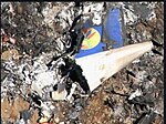 Thumbnail for File:Santa Bárbara Airlines Flight 581 After Crash.jpg