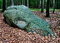 Schalenstein im Staatsforst Schieder bei Brakelsiek (Schieder-Schwalenberg)