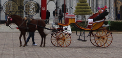 Carriage in Monastir