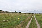 Thumbnail for File:Pasture in NP Vorpommersche Boddenlandschaft north of Hiddensee 2021-09-17 26.jpg