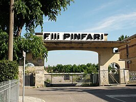 Pinfari