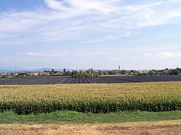 Albaredo d'Adige – Veduta