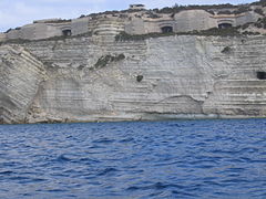 Centre sections of the battery