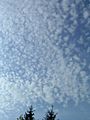 Cwmwl Cirrocumulus