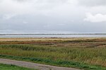 Thumbnail for File:Inner coast of Hiddensee in NP Vorpommersche Boddenlandschaft 2021-09-17 05.jpg