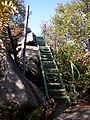 Nationalpark Harz, Aufstieg zur Leistenklippe