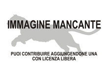 Immagine di Phoberocyon mancante