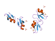 2nlg: Human beta-defensin-1 (Mutant Lys22Glu)