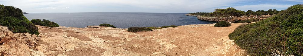 Vista panoràmica de Cala Pi, 2014