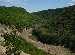 Slopes containing old-growth forest within Zoar Valley