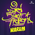 Cover der Single „Warum“