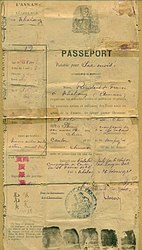 法屬印度支那安南保護國向中國公民簽發的護照（1925 年）