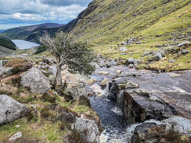 File:Glendalough 0002.jpg