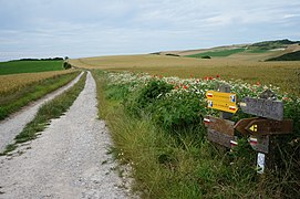 Le sentier du Blanc Nez .- Eté2016 (3).jpg