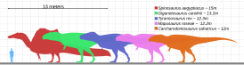 Comparaison en taille avec un être humain de divers grands dinosaures carnivores.