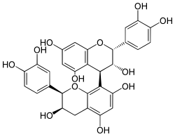 Image illustrative de l’article Procyanidine B2