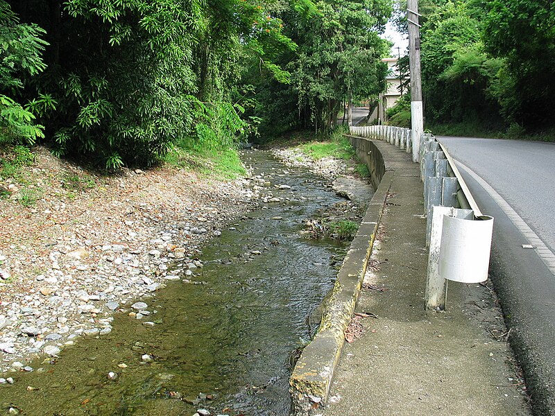 File:Rio Bayagan next to PR-505 in Barrio Machuelo Arriba, Ponce, PR (IMG 3797).jpg