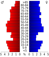 Bevolkingspiramide Russell County