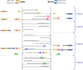 Vorschaubild der Version vom 15:05, 25. Mär. 2009