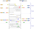 Vorschaubild der Version vom 02:42, 17. Feb. 2013