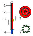 Vorschaubild der Version vom 20:47, 21. Jul. 2008