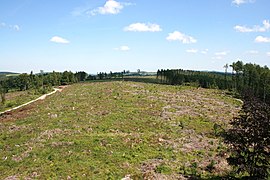 Blick nach Norden 2009