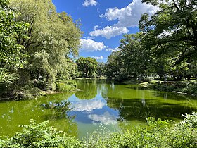 Le lac du cimetière.