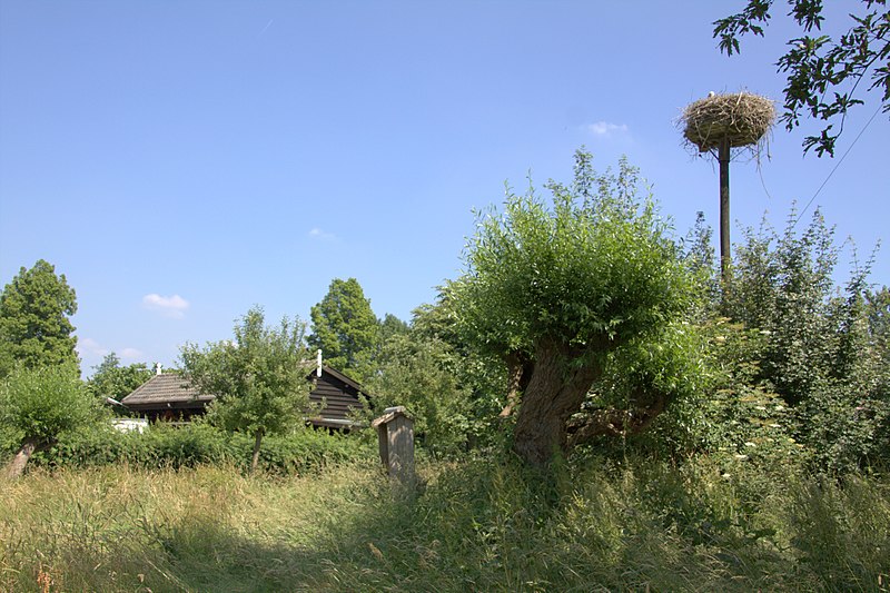 File:Het landschap achter de Schaapskooi in Schoonrewoerd.jpg