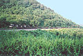 Horseshoe Curve, Altoona, Penna.