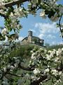 Castel Valer tra i fiori, Tassullo