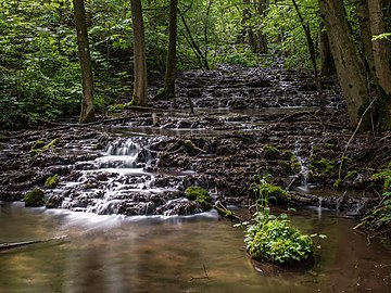 Petites cascades près de Tiefenellern en Suisse franconienne