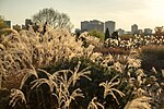 Thumbnail for File:View from the East Garden in Daejeon Hanbat Arboritum, Daejeon, Korea.jpg