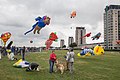 Jaarlijks vliegerfestival