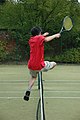 Leaping the tennis net is a dangerous practice