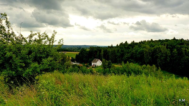 File:Widok w kierunku rzecznej doliny. - panoramio.jpg