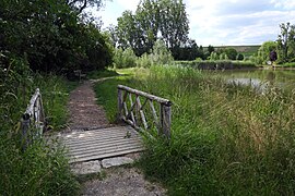 Mühlbachaue- (7)-Holzbrücke.jpg