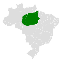 Distribución geográfica del hormiguero cantarín de Spix.