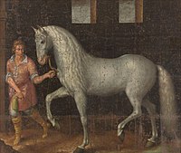 Spanish battle stallion 1603.