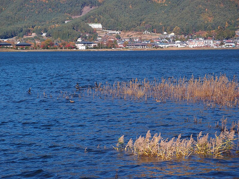 File:Lake Kawaguchiko (10862904715).jpg