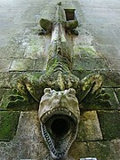 Gouttière du donjon en forme de salamandre.