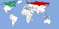 severská oblast rozšíření soba polárního