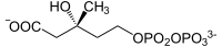 Diphosphomevalonat