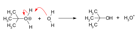 Proton transfer forming the alcohol