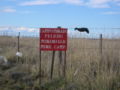 Minefield at the Tierra del Fuego