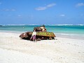 Velho tanqueem Flamenco Beach