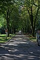 Park auf der Promenade