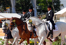 Hipismo adestramento 1 15072007.jpg